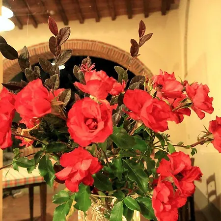 Agriturismo La Salciaia *