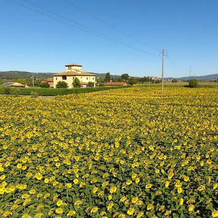 Agriturismo La Salciaia Monte San Savino